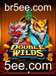 Entendendo as Dinâmicas do Jogo DoubleWilds